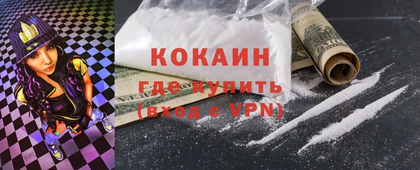 PSILOCYBIN Горно-Алтайск