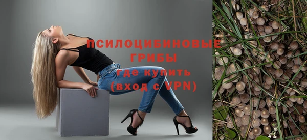 МДПВ Горнозаводск